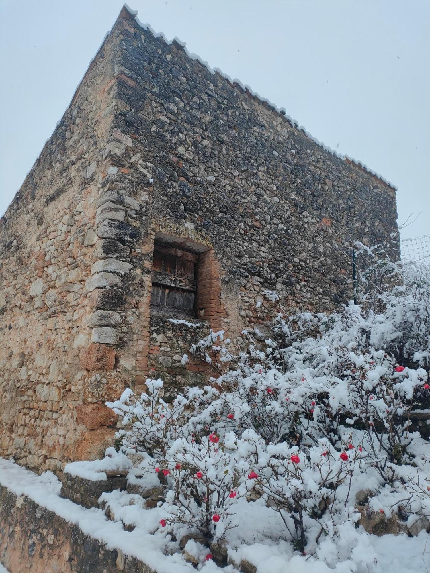 Agriturismo Il Casalino สโปเลโต ภายนอก รูปภาพ